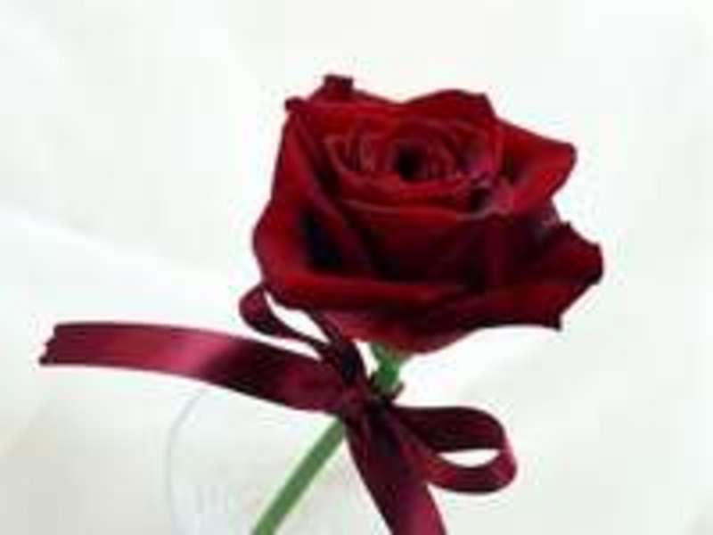 Especial San Valentin en el Hotel Macia Alfaro 4* de Cordoba
